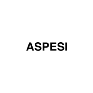 shop.aspesi.name logo